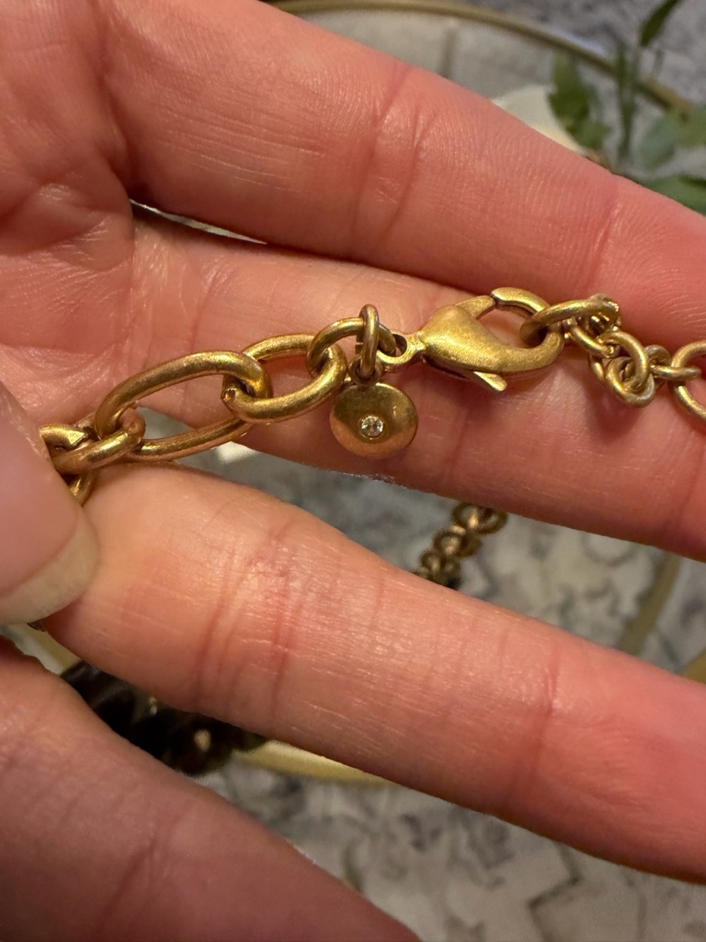 J.CREW Lucite Tortoise Shell Link Necklace - Picture 5 of 6